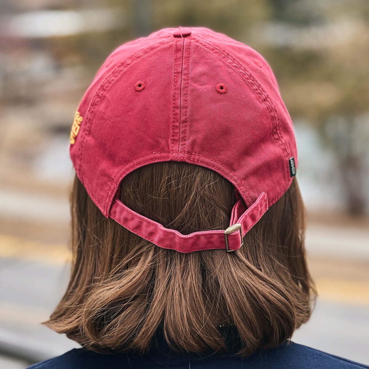L2 Pennant Cy Weathered Cardinal Hat